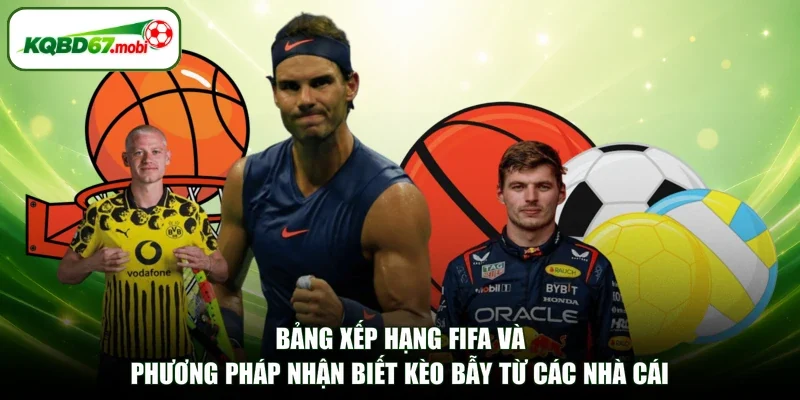 Bảng xếp hạng FIFA và phương pháp nhận biết kèo bẫy từ các nhà cái